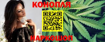 СК Краснодар