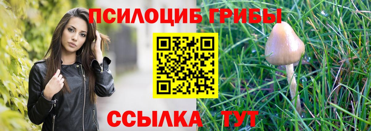 Псилоцибиновые грибы прущие грибы Уварово